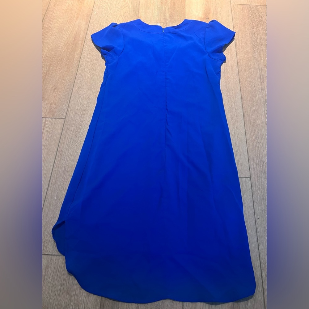 Blue Dress - Picture 3 of 4